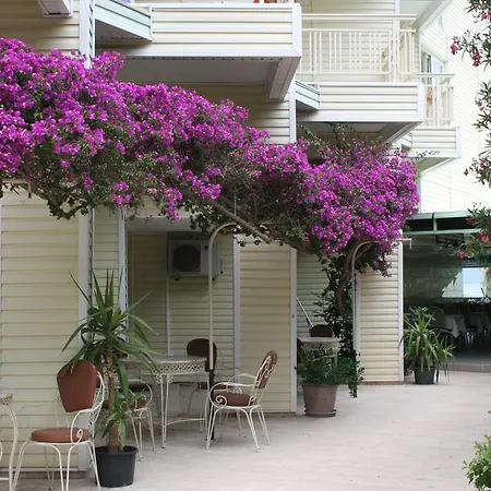 Flamingo 말마리스