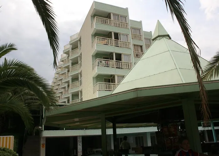 Flamingo 3*